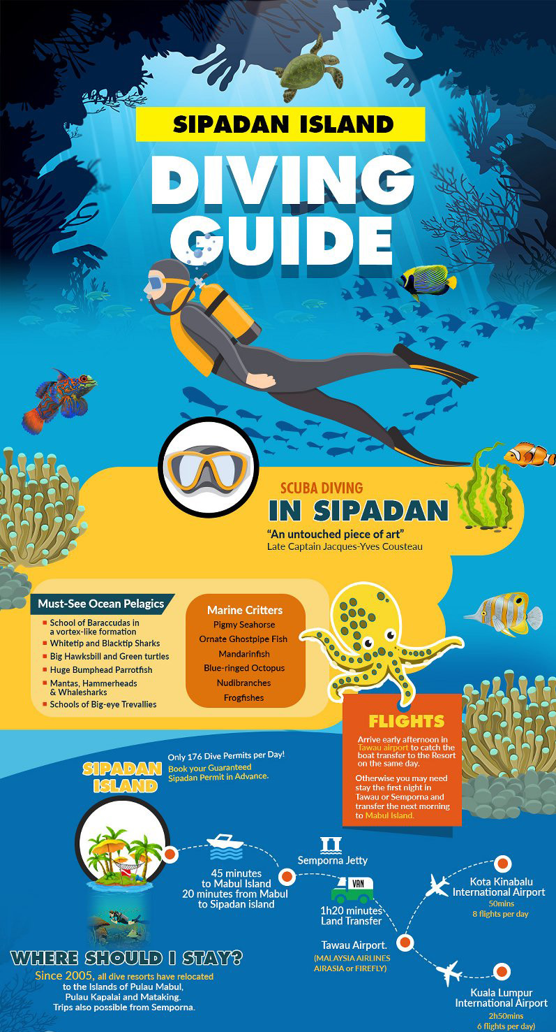 Sipadan Island Diving Guide Infographic