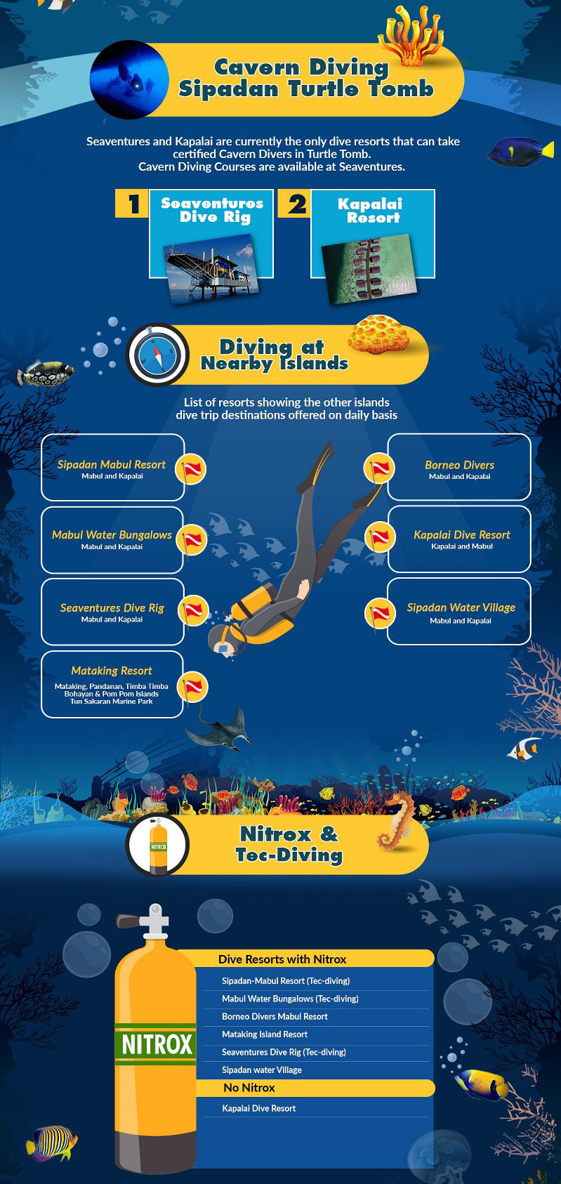 Sipadan Island Diving Guide Infographic