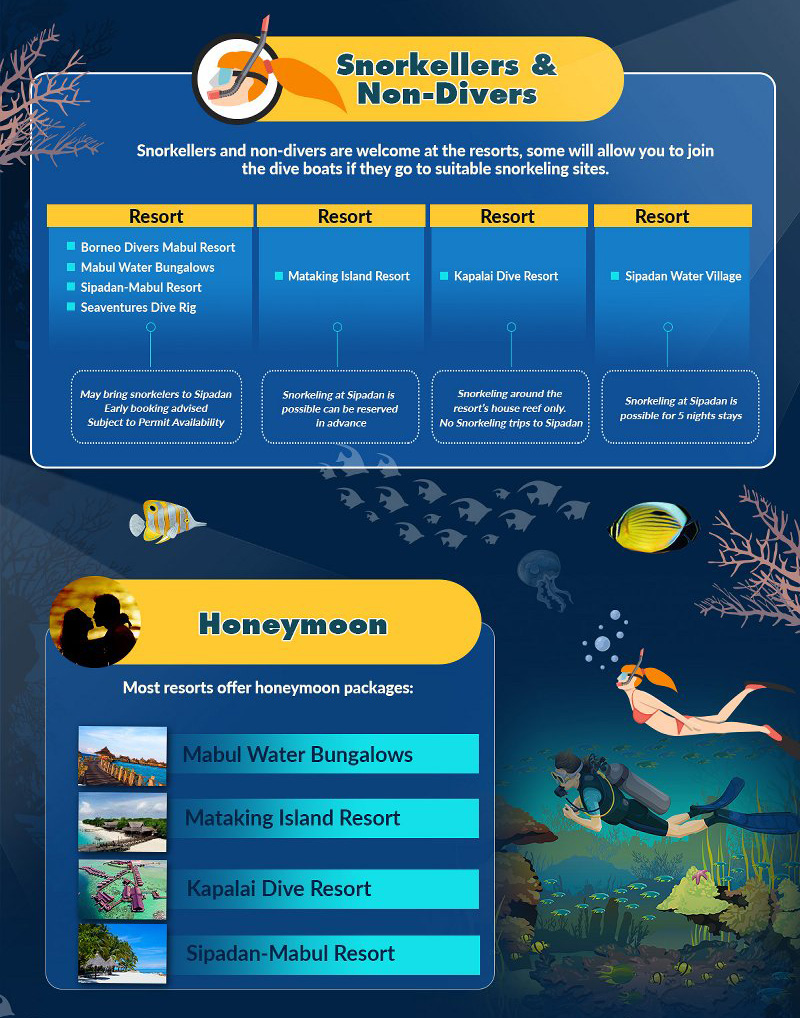 Sipadan Island Diving Guide Infographic