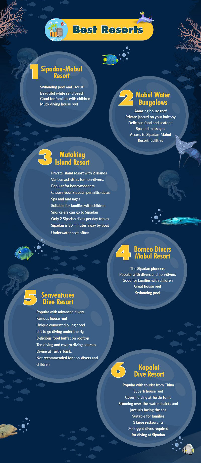 Sipadan Island Diving Guide Infographic