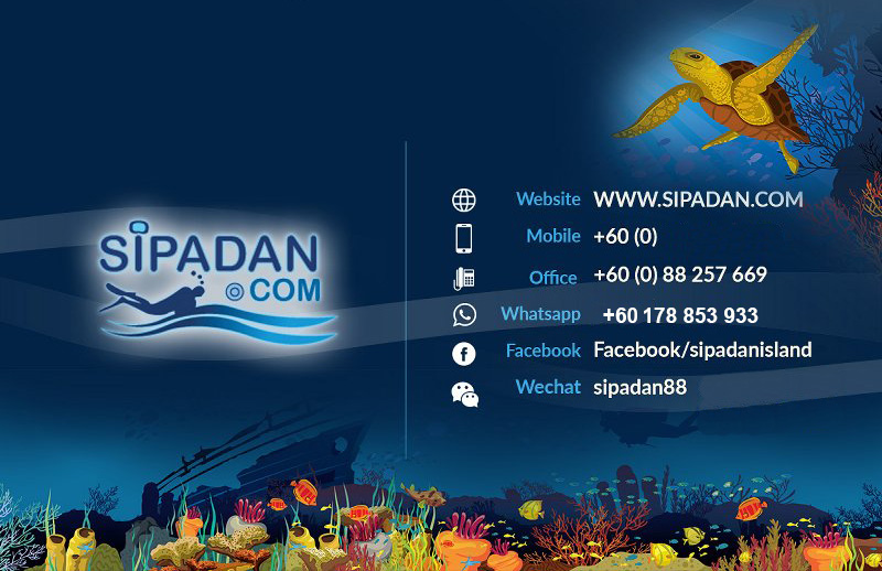 Sipadan Island Diving Guide Infographic